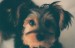 tumblr_mkevbelzCw1qhavevo1_500